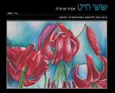 שושי חייט | ציירת ישראלית